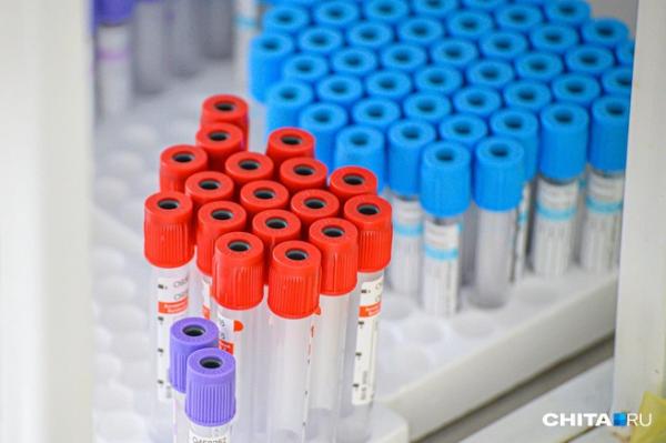 Семейная реакция. Отец владельца &laquo;Хеликса&raquo; обвинил сына в хищении своих акций компании