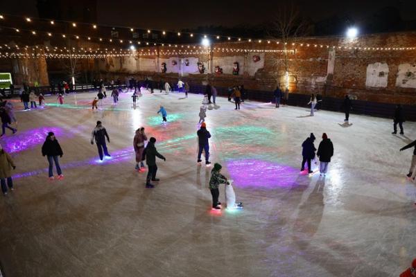 Куда пойти 28&ndash;30 ноября: лазерный каток, &laquo;звери и птицы&raquo; в Академии художеств, премия &laquo;Онегин&raquo;