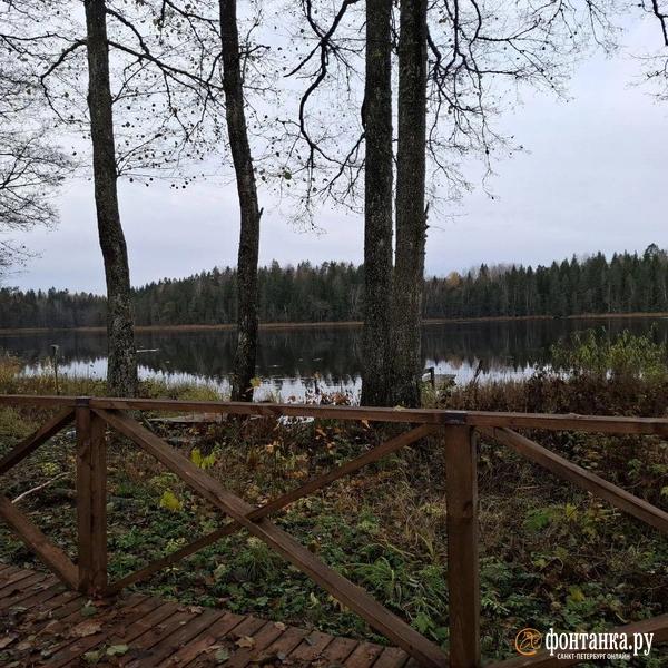 Стрит-арт вместо забвения: как фестивали возрождают деревню в Псковской области
