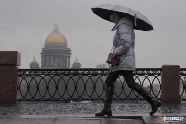 Куда пойти 7&ndash;9 ноября: выставка в &laquo;Подписных изданиях&raquo;, израильское кино и праздник в &laquo;Севкабель Порту&raquo;