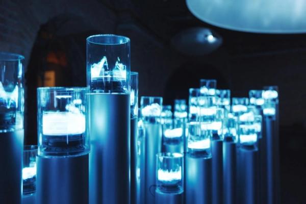 Куда пойти 14&ndash;16 ноября: открытие первого катка, Beat Weekend, &laquo;Дягилев P.S.&raquo;, фестиваль кимчи