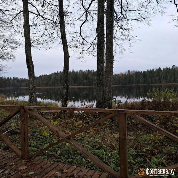 Стрит-арт вместо забвения: как фестивали возрождают деревню в Псковской области