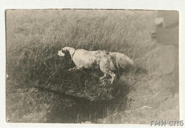 Куда пойти 14&ndash;16 ноября: открытие первого катка, Beat Weekend, &laquo;Дягилев P.S.&raquo;, фестиваль кимчи