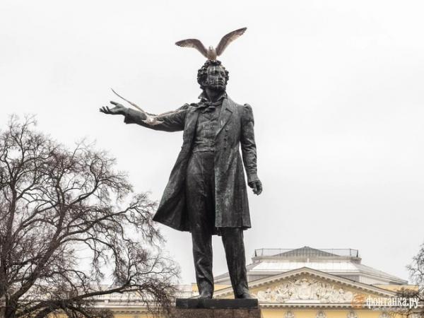 Обгадили даже Ростральную колонну. В Петербурге решили бороться с голубями, чайками и их кормильцами