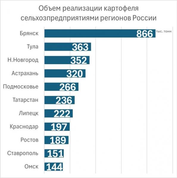 Российская картошка против египетской. Почему зимой и весной побеждает импорт