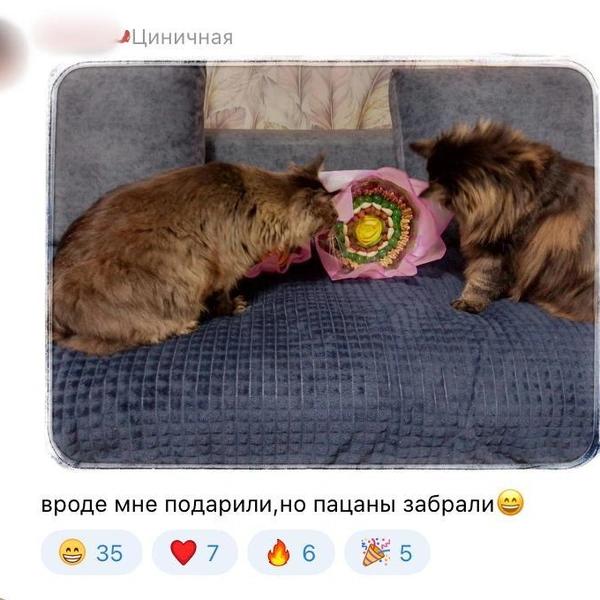 Букет с вантузом. Женщины показали подарки на 8 Марта в соцсетях