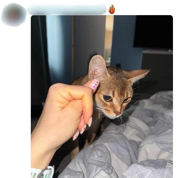 Букет с вантузом. Женщины показали подарки на 8 Марта в соцсетях