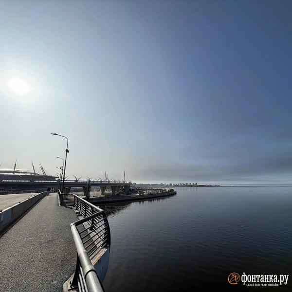 Над Петербургом второй день странный дым. Что происходит?