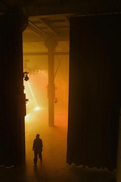 Куда пойти 20&ndash;23 февраля: тюльпаны в Ботаническом саду, &laquo;Северное солнце&raquo; в Царском Селе, &laquo;детектив&raquo; по делу античной статуи и Масленица