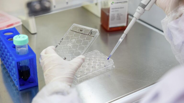 Ученые СПбПУ предложили новый способ доставки изотопа в опухоль молочной железы