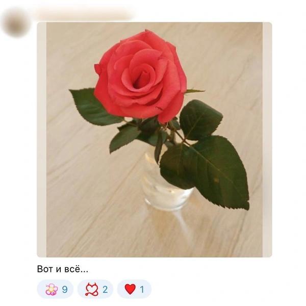 Букет с вантузом. Женщины показали подарки на 8 Марта в соцсетях