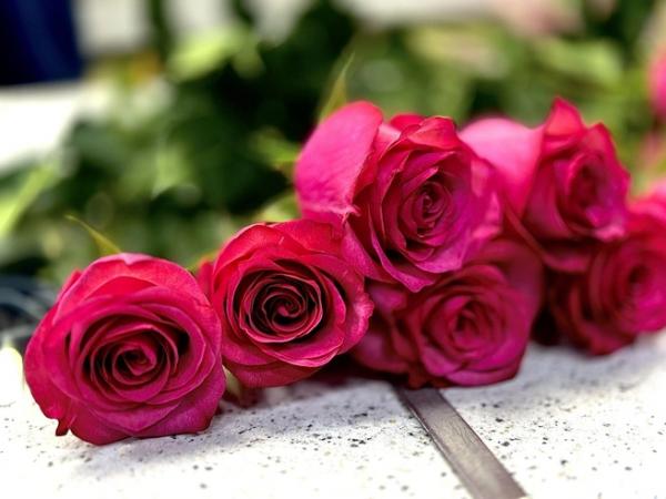 Быстрый тест к 8 Марта: сможете вспомнить ключевые факты из истории праздника?