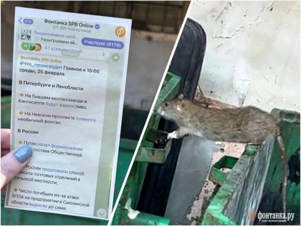 Почему рядом с &laquo;Пушкинской-10&raquo; устроили &laquo;Крысогон&raquo; и как в этом помогли распечатки постов &laquo;Фонтанки&raquo;
