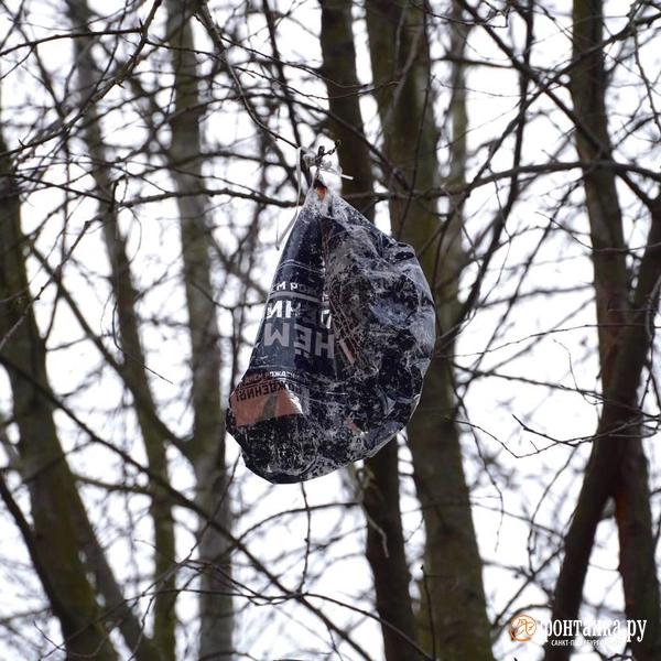 &laquo;И сразу вспышка, бабах!&raquo; Первые кадры и комментарии из Кронштадта после сегодняшней ночи