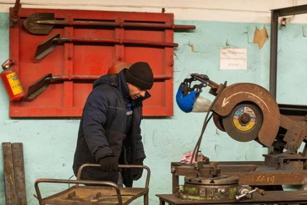 Пчеловод, наездник и простой рабочий. Кто на самом деле нужен российской экономике?