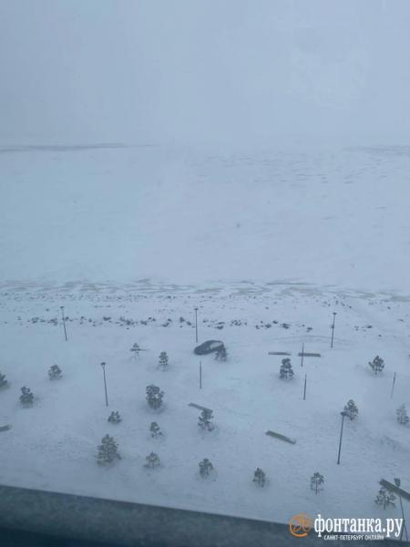 Мрачно-праздничные выходные. Смотрите, как петербуржцы преодолевают пургу