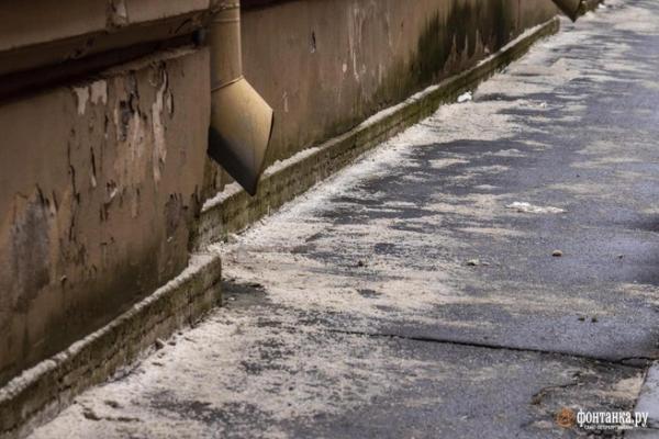 Золотая соль. Кто и сколько заработал на реагентах в Петербурге