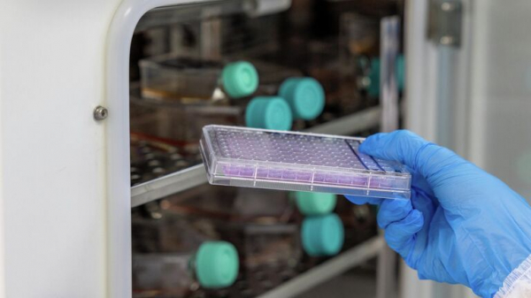 Ученые СПбПУ предложили новый способ доставки изотопа в опухоль молочной железы